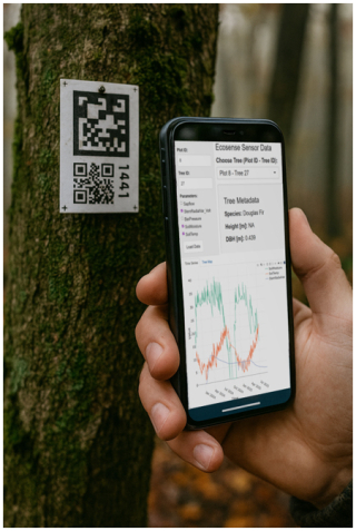 https://gi.copernicus.org/articles/15/253/2026/gi-15-253-2026-f08